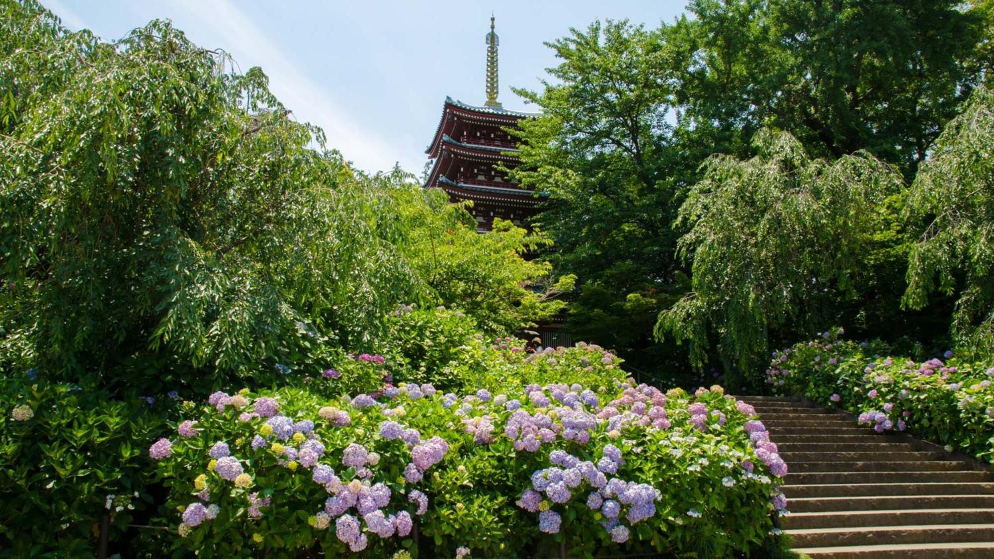Toyoko Inn Matsudo Eki Higashi Guchi Luaran gambar
